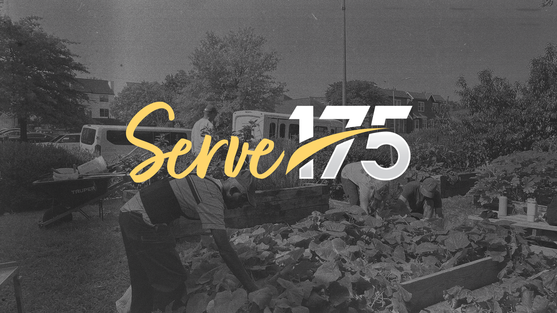 Serve175